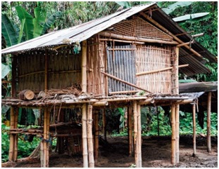 Assam Type House