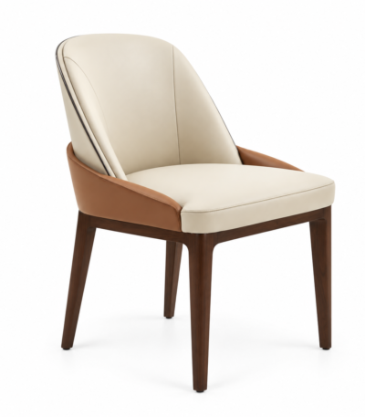 Double Back Dining Chair for Home