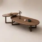 HE006CT_NS
